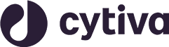 The #1 Free Auto Text Expander That Saves You 1 hr/day | FlyMSG